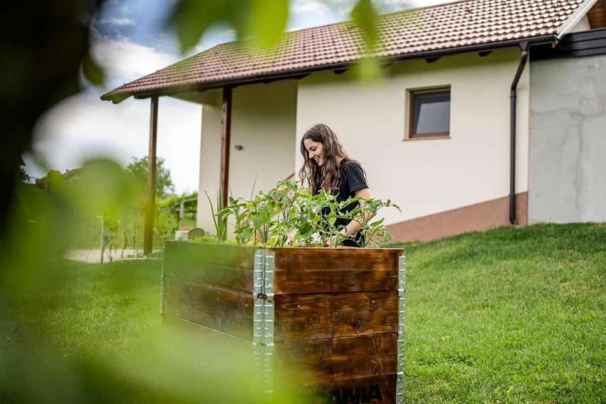 Holiday House Zlacka Gorca Pristava pri Mestinju Exterior foto